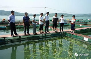 立體分層 生態(tài)循環(huán) 廣西梧州推廣新型生態(tài)養(yǎng)魚網(wǎng)箱模式
